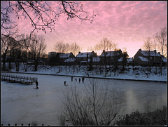 Good-Ice-2012..............( L T M  Vijver ....Pond )