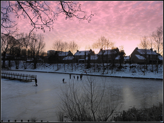 Good-Ice-2012..............( L T M  Vijver ....Pond )