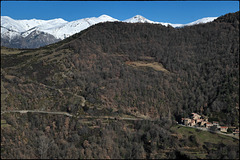 Omplim el matí de llum