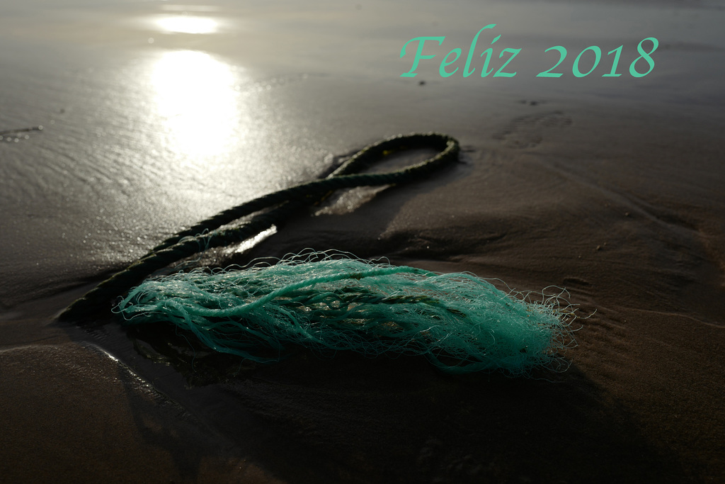 Monte Gordo, Feliz 2018
