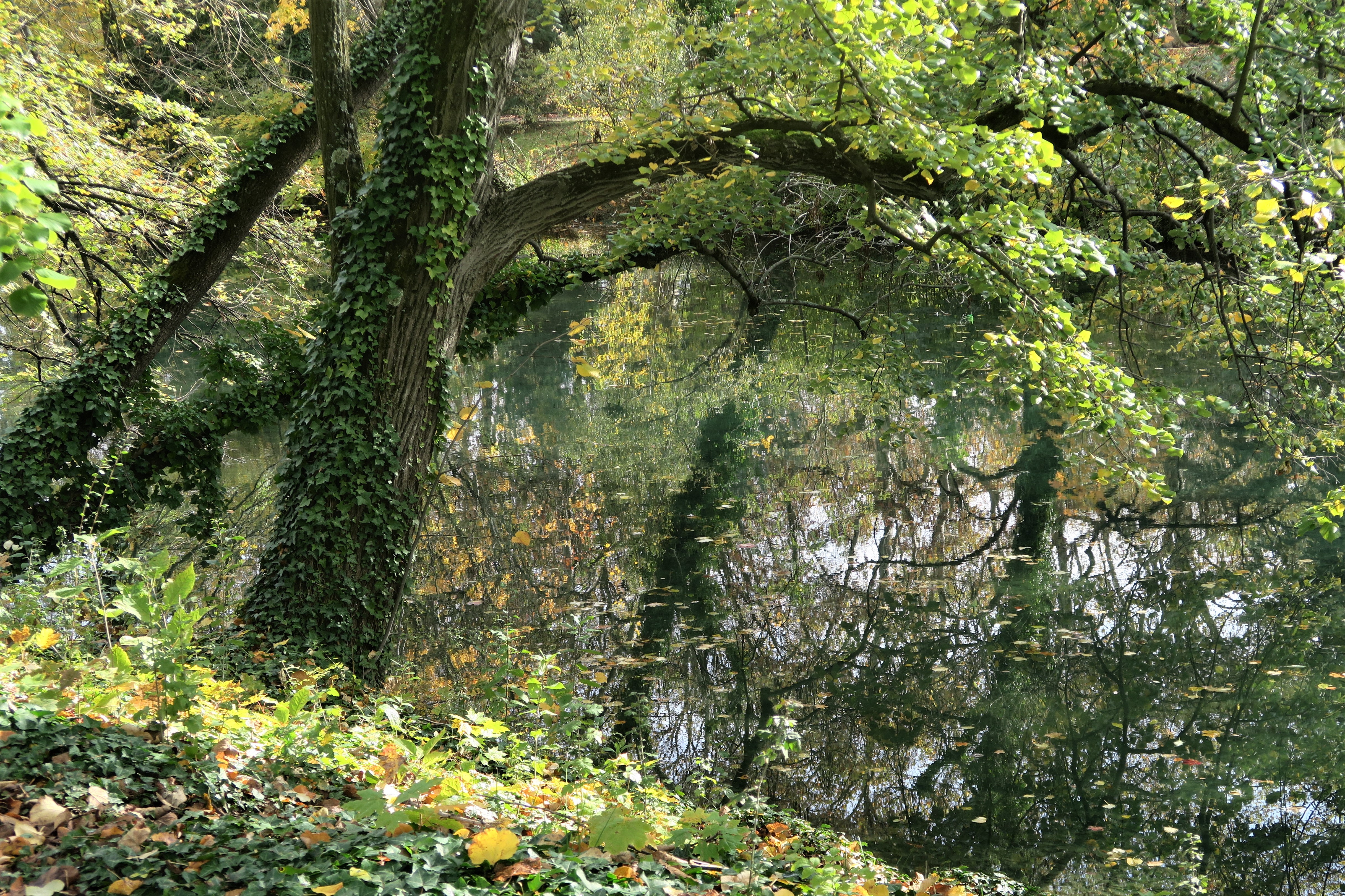 Le Parc de la Tête d'Or en automne, Lyon (Rhône, France)