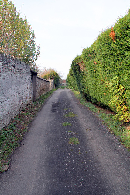 Sentier de la Gerbette - 6101