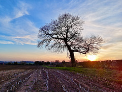 First spring sunset 2025