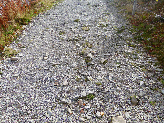 Steiniger Wanderweg zum  Grand Ballon