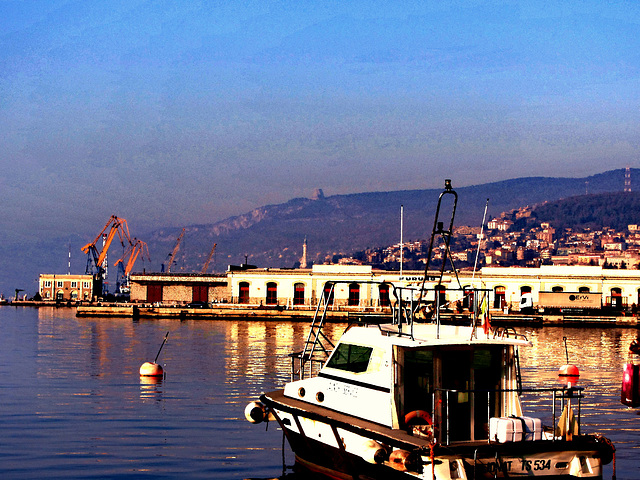 Luci sul Porto a Trieste