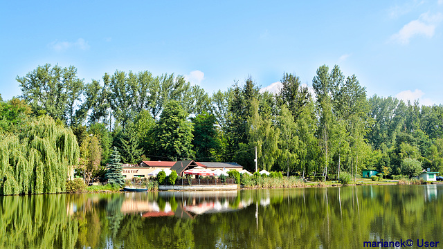 Restaurant Bartek in Chorzów