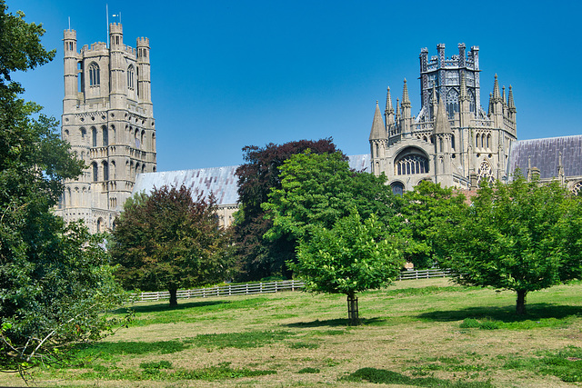 Ely Cathedral from the river walk