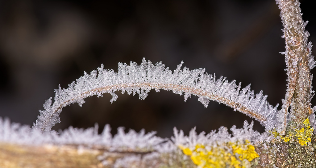 Winterliche Motive am Morgen :))  Winter motifs in the morning :))  Motifs hivernaux le matin :))