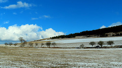 winter landscape