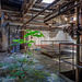 rust and green
