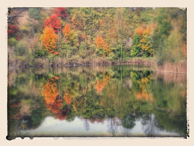 311/365 - Herbstliche Stille und Farbenpracht