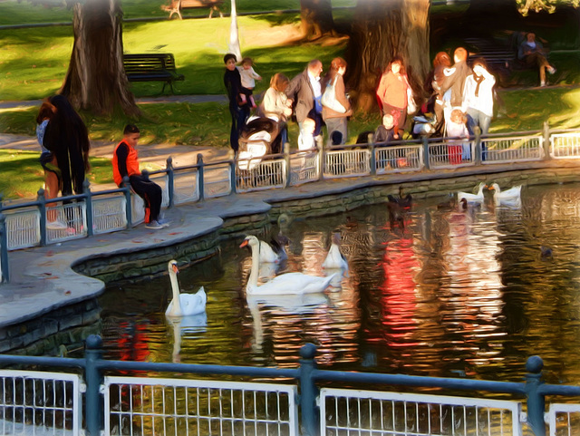 late afternoon in the park