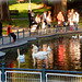 late afternoon in the park