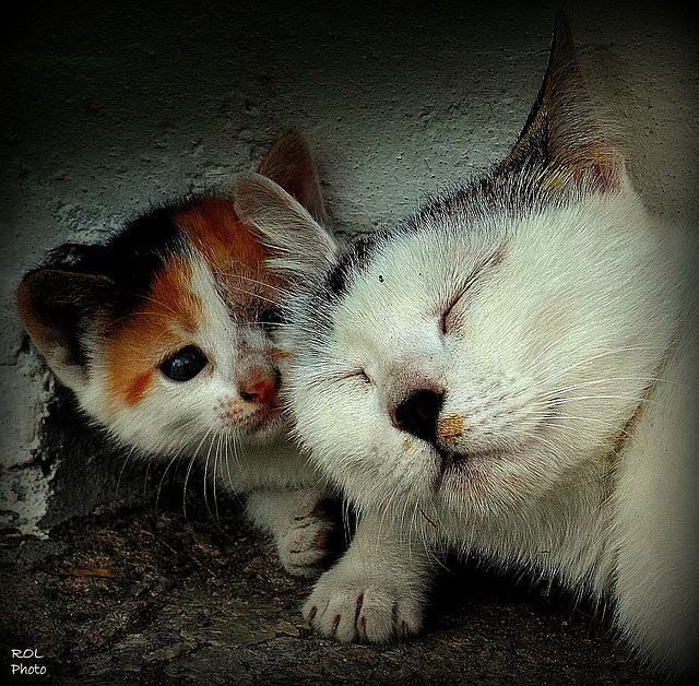 Hé, maman... suis là....!