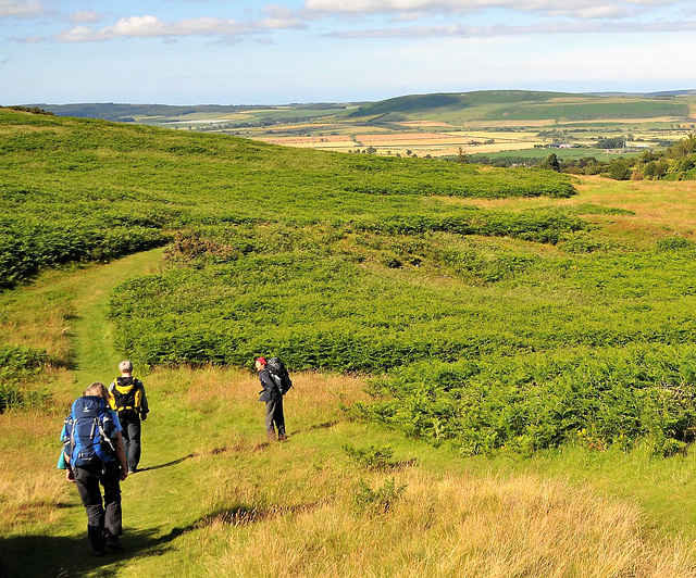 Scotland St. Cuthbert's Way (PiP)