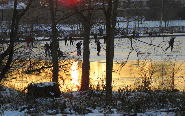 Good-Ice-2012............( Weltervijver....pond )