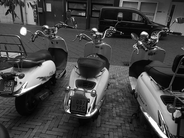 vespa's ?