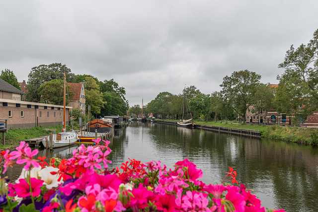 Enkhuizen, Zwischen Dijk und Paktuinen