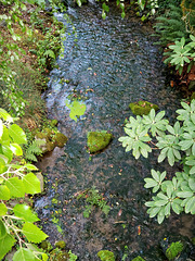 Fresh water - for World Water Day