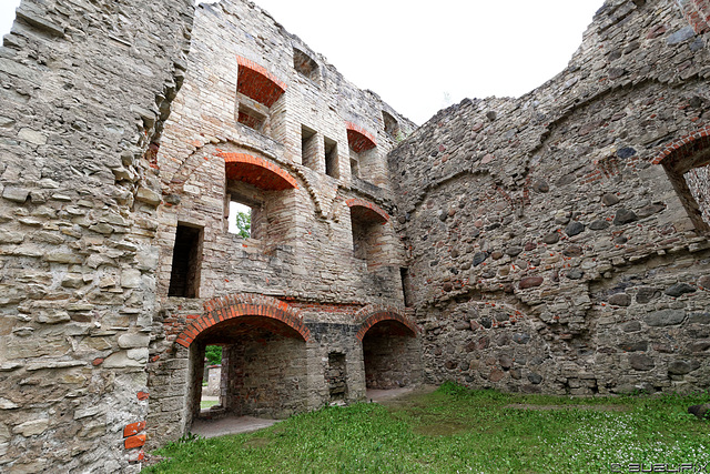 Burg Cēsis (© Buelipix)