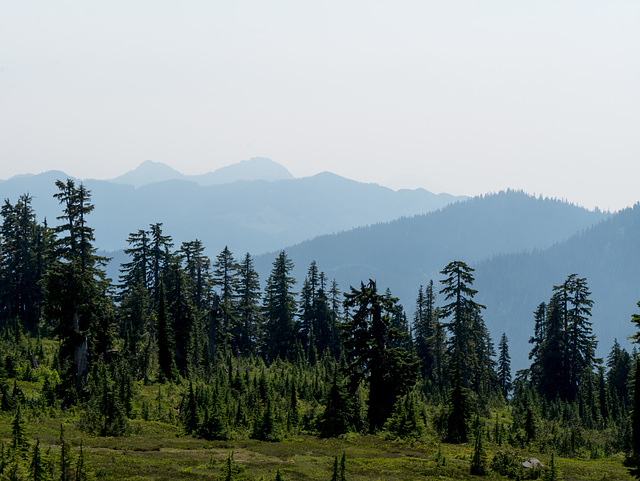 Mt. Baker