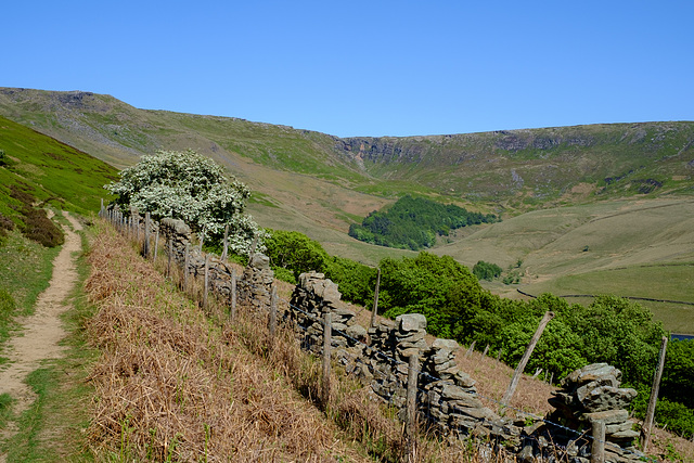 White Brow view to Kinder Scout