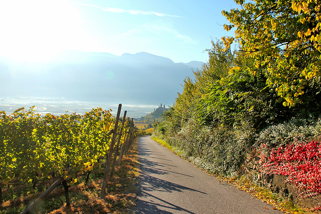 Blick ins Etschtal und auf die Kirche St. Jakob - Kastelaz/Tramin