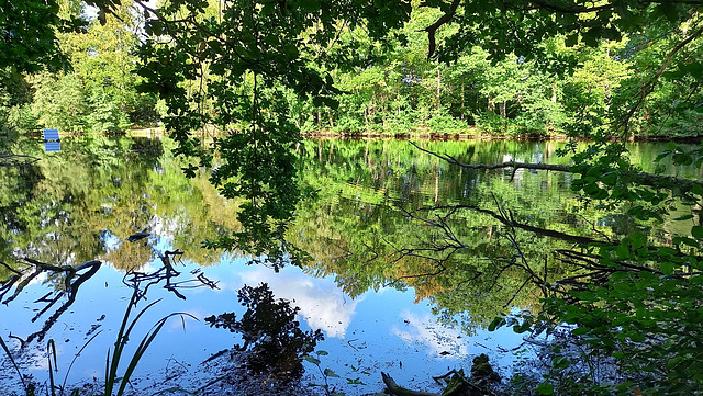 Bockelsberger Teiche1