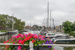 Enkhuizen, Oude Haven