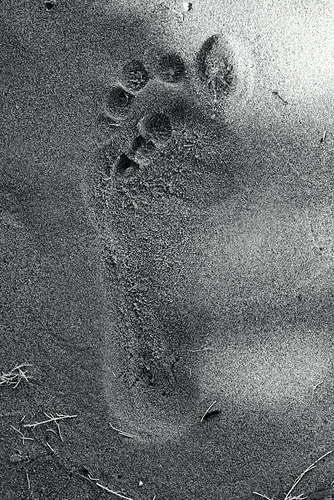 Zante 2016 XPro2 Footsteps 2 mono