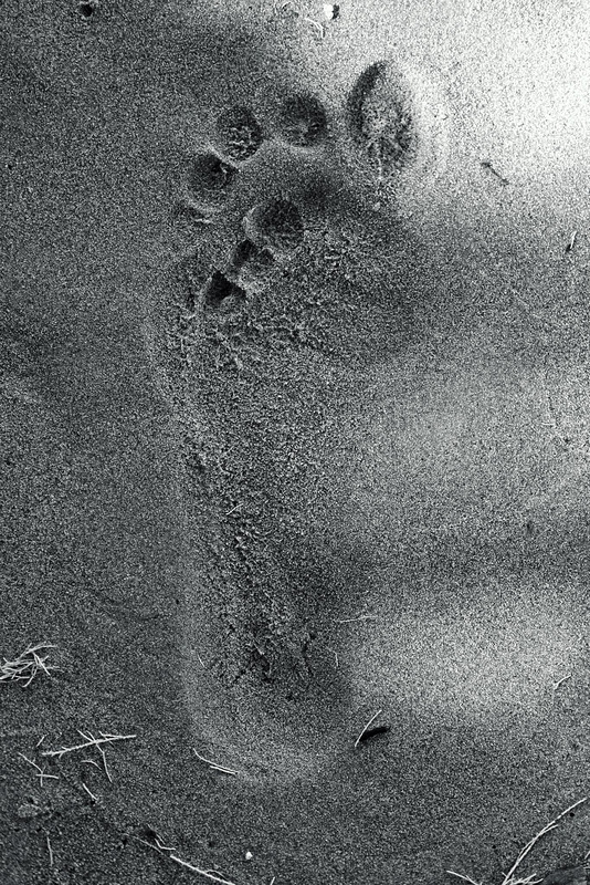 Zante 2016 XPro2 Footsteps 2 mono