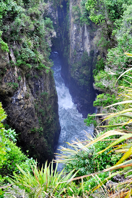 New Zealand New Zealand