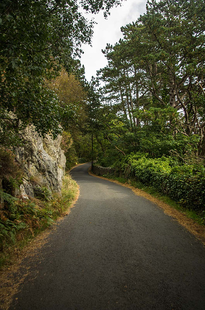 A single track road in Padarn country park2