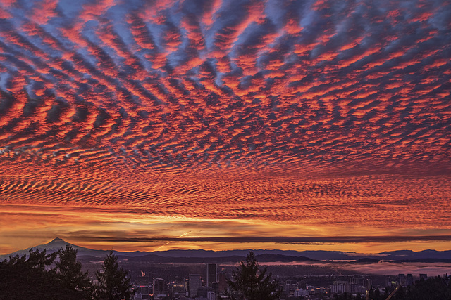 Mackerel Sky Meets Portland