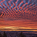 Mackerel Sky Meets Portland, 2