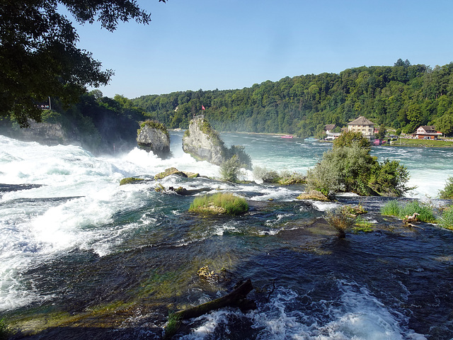 Am Rheinfall bei Schaffhausen