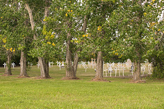 sheltered crosses