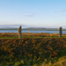 The Ring of Brodgar