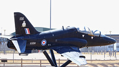 Hawk