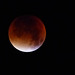 ECLIPSE de LUNE du 27-09-2015