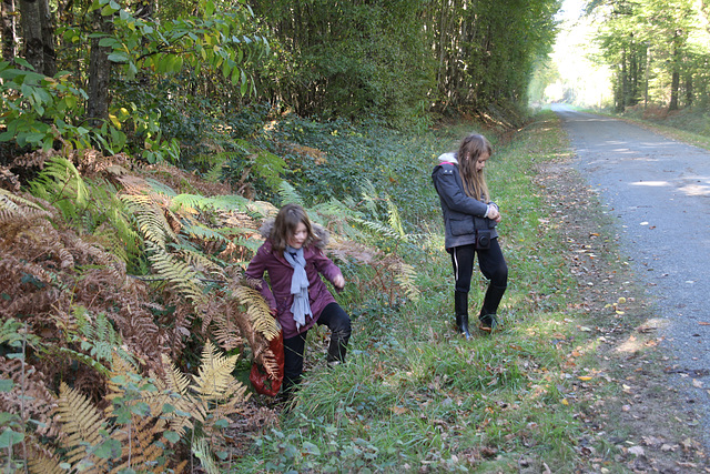 les cherceuses de chataignes