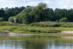 Hochsitz hinter Gorleben