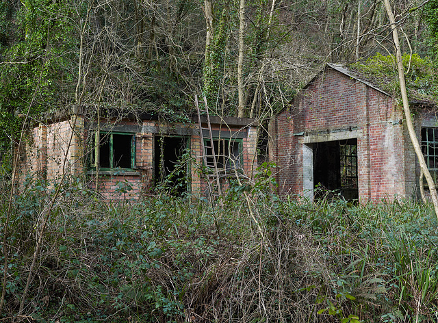 Cornwall - house in the woods