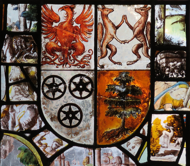 canterbury museum glass   (41) eagle, fox, wheel, tree charges in heraldry in c16 flemish glass