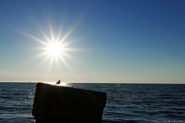 am Strand von Klaipeda (© Buelipix)