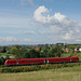BÖ0022917