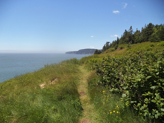 Un petit sentier invitant.....