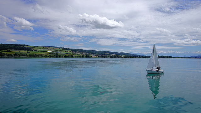 Hallwylersee AG