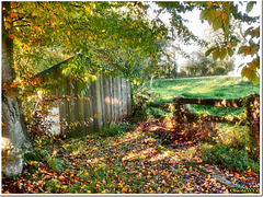 Idyllic place for the old hut - HFF