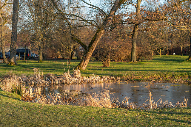 Kleiner Teich im Schloßpark am Wasserschloß Klaffenbach